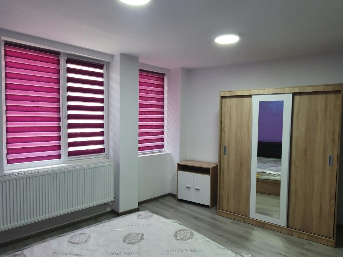 Apartament Negris Bîrlad エクステリア 写真