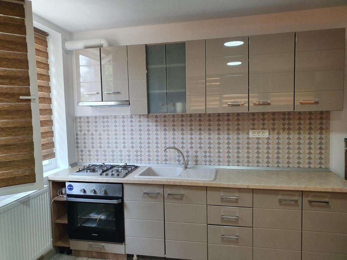 Apartament Negris Bîrlad エクステリア 写真